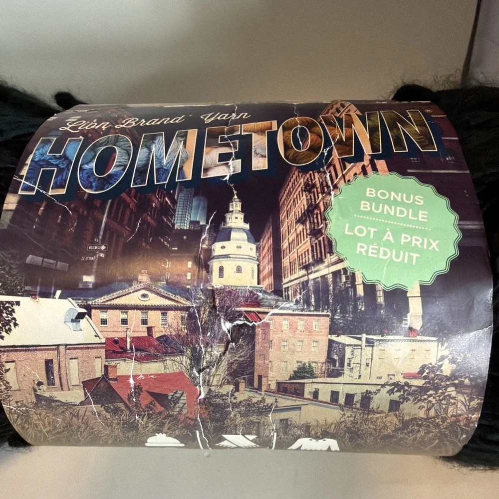 NEW Lion Brand Yarn Hometown Bonus Bundle Yarn Oakland Black 1 Skein
